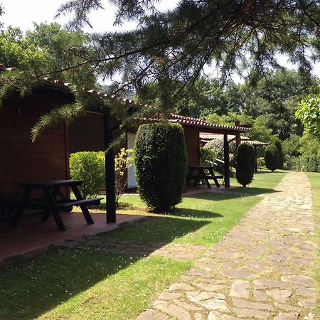 Camping Ecologic Lava Santa Pau Kültér fotó