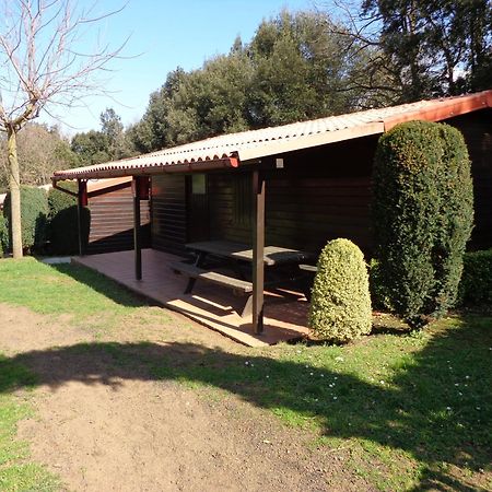 Camping Ecologic Lava Santa Pau Kültér fotó